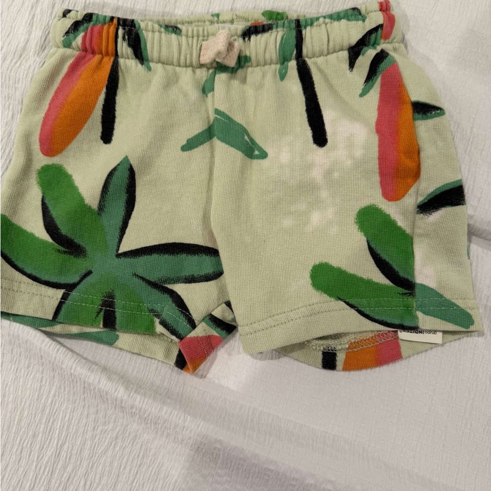 Zara Kids Green and Pink Leaf Print Shorts‎